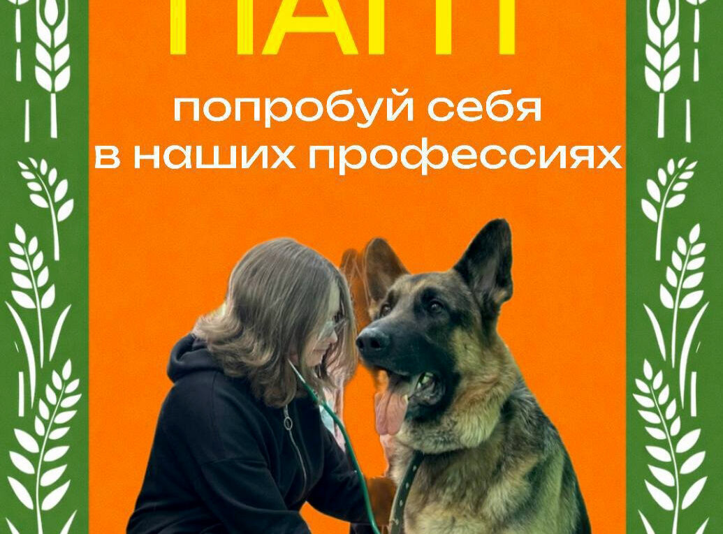 МАСТЕР — КЛАССЫ В РАМКАХ ЧЕМПИОНАТА